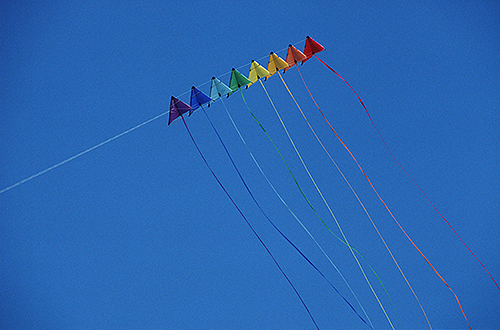 kites